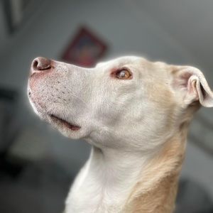 Meet your Posher, Kris